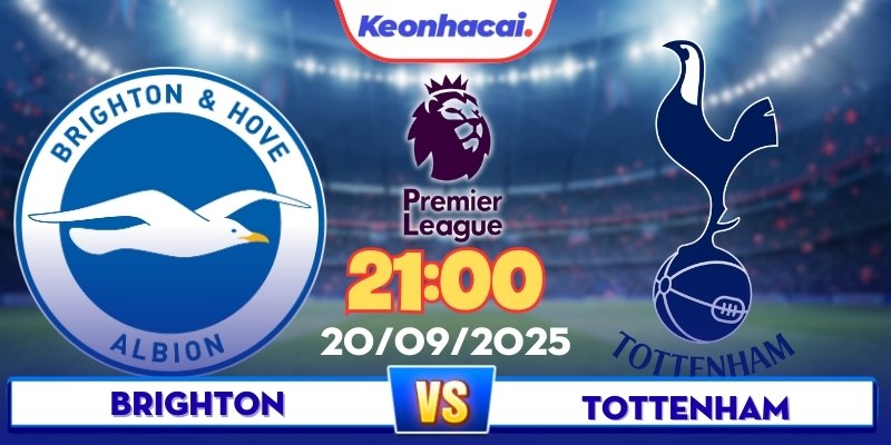 Brighton Vs Tottenham - 21:00 - 20/09: Gà Trống Ăn Điểm Sân Khách?